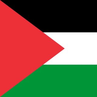 Palestinian - Arabic Treasure